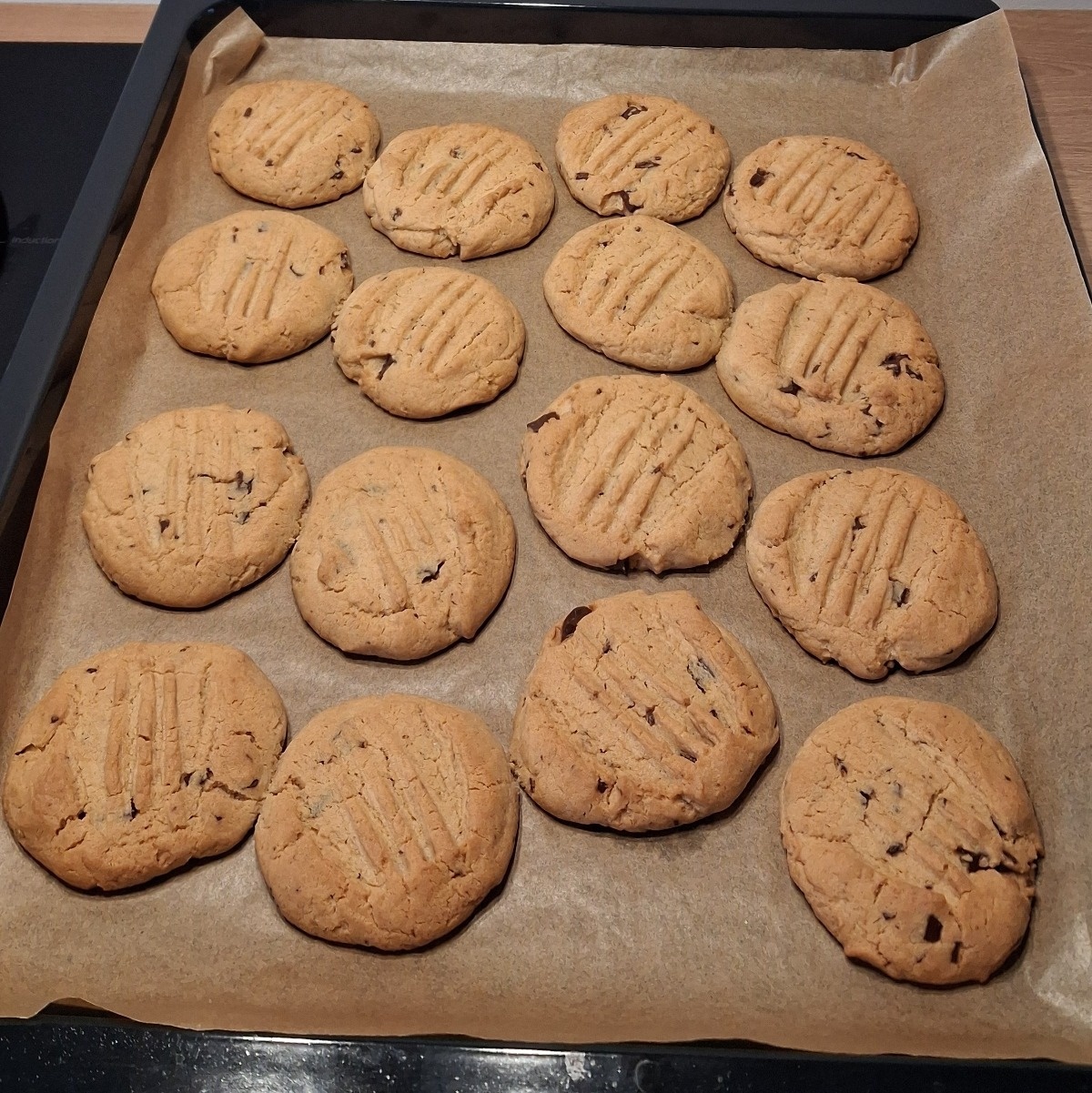 03e2ae60-feda-494d-9294-37015a3d13e9