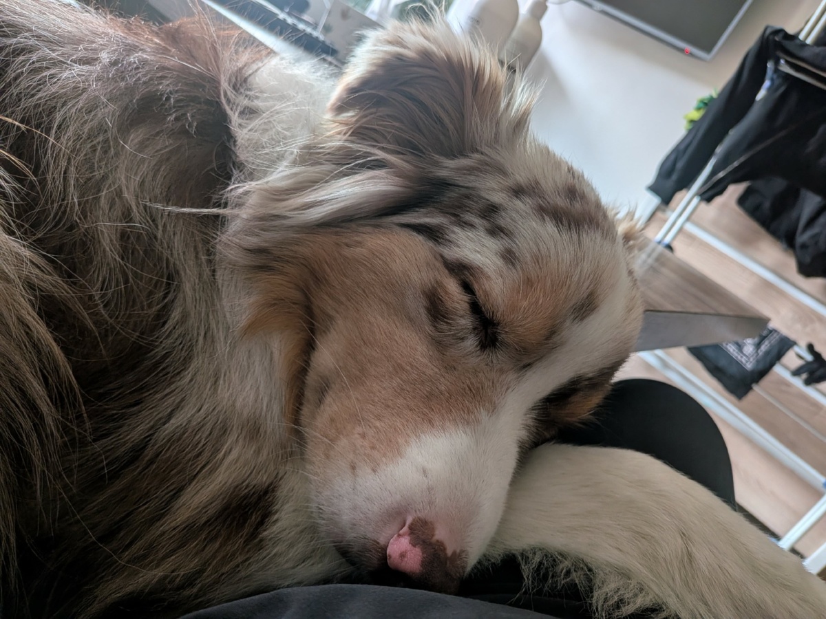 5f7323d5-d953-4b52-abd6-f6c1fd19c169