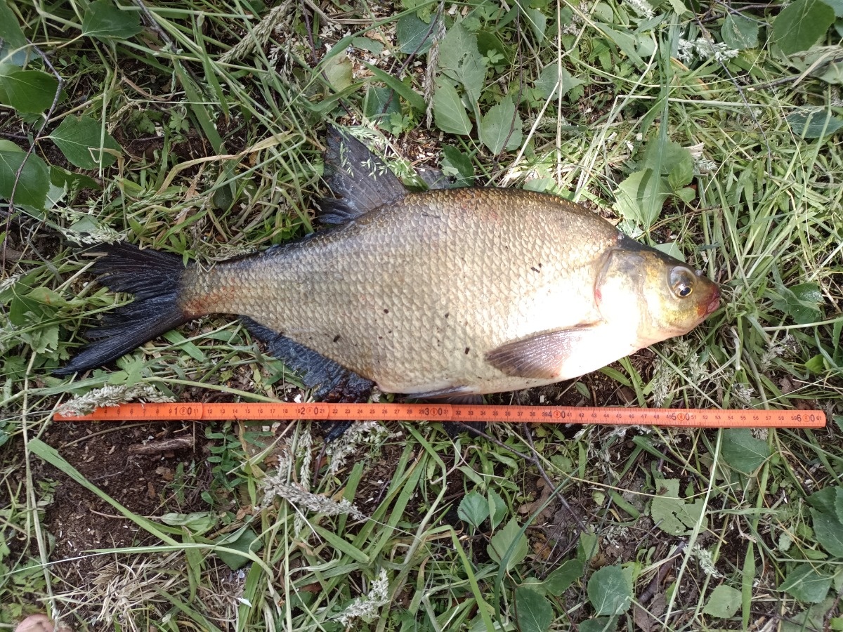 d84f3a2c-ae31-4ad4-b138-98acc48d0bbd