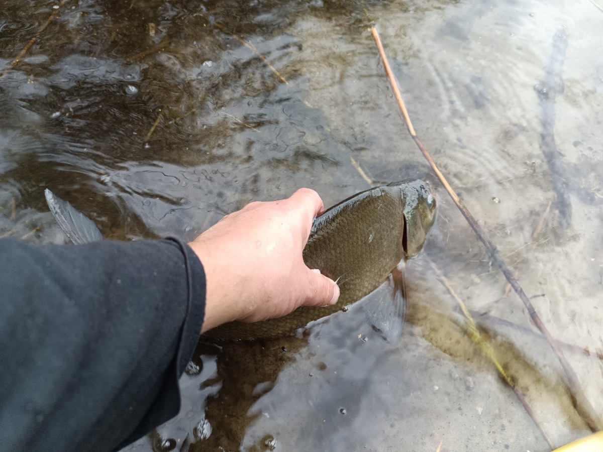 f64dca24-214b-48ec-8033-cf3f1e2904d3