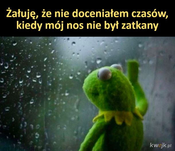 3b22ed46-8be1-4132-9d1c-eed5dc1bdfa0