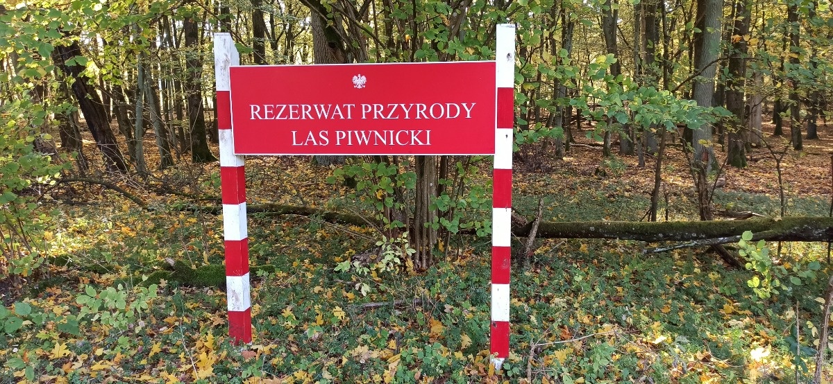 8d72fca7-bf28-4339-b29e-444c6ccb6835