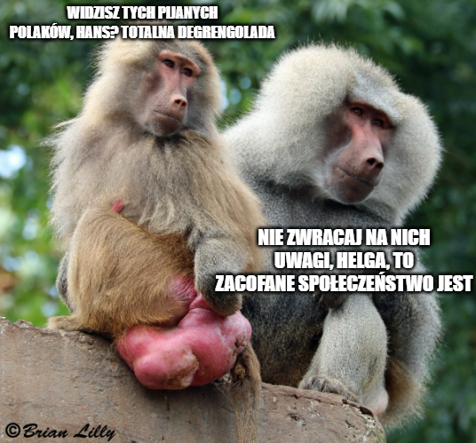 8939657c-6515-4875-a2c7-7d758bcfea85