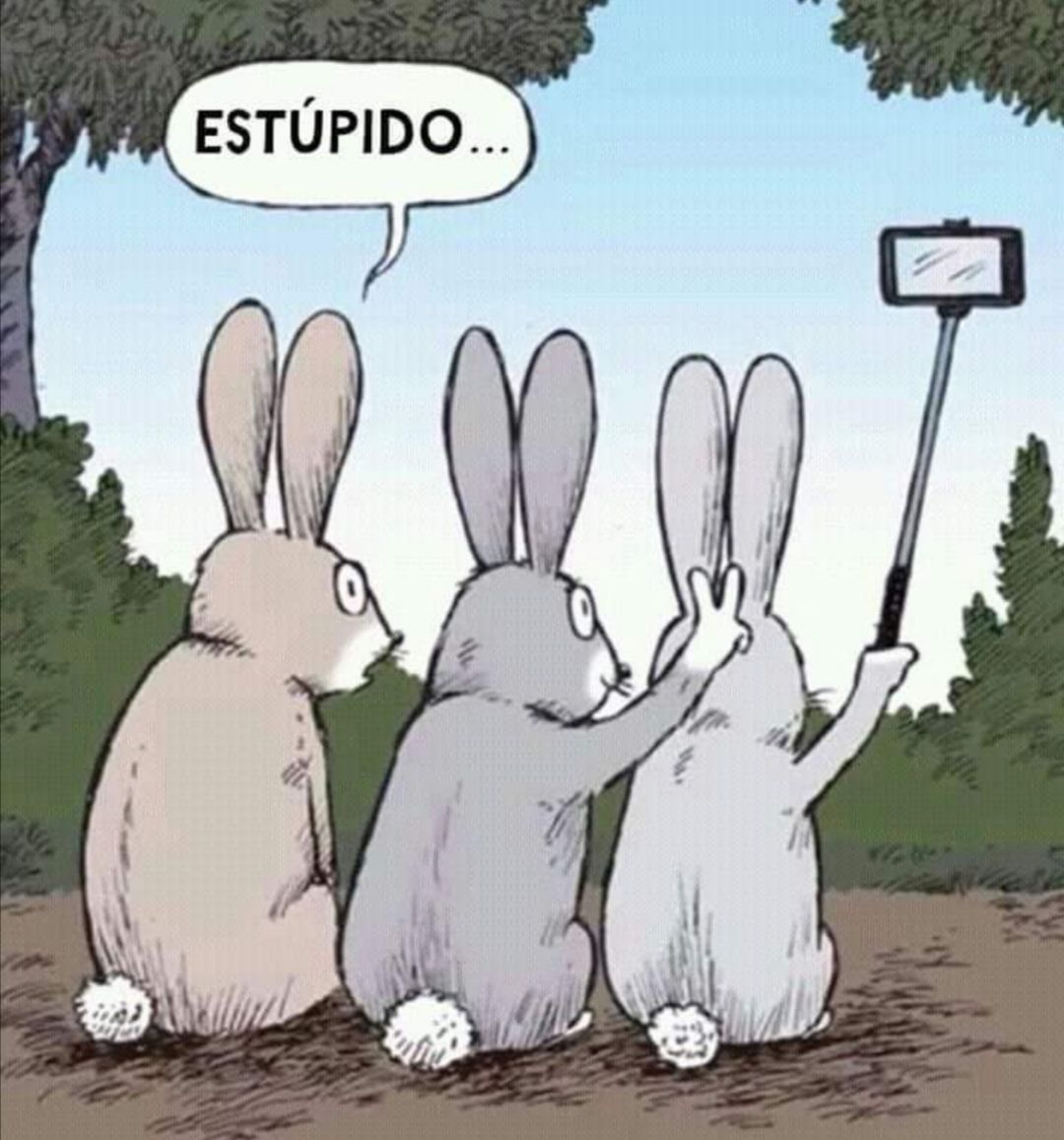 28122ca1-990a-4e32-9308-001e90b1388b