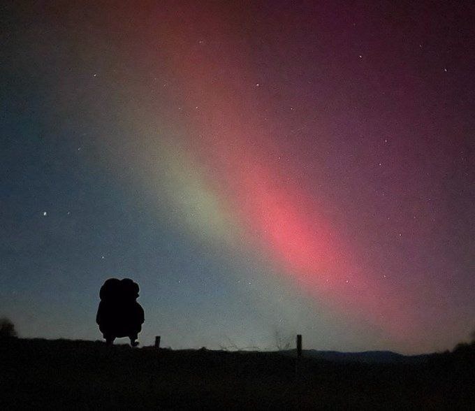 367fe2f5-c02d-4c52-a54c-23988727a487