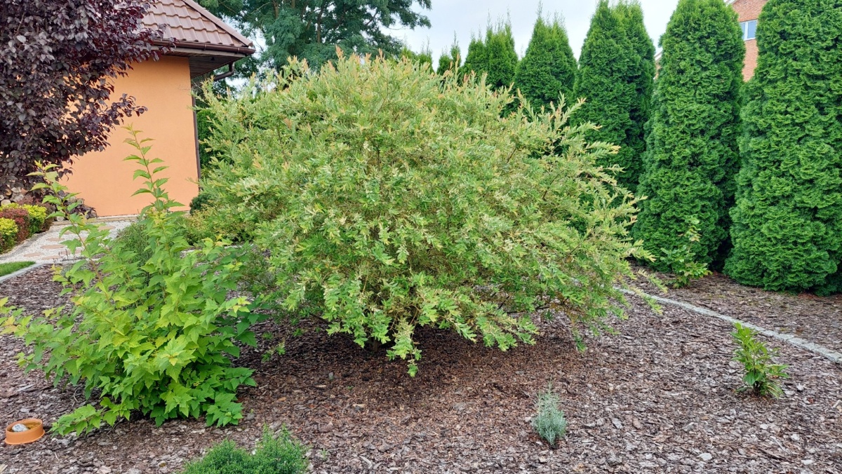 b41e008e-8bd1-4edf-955b-028897a7a2ef