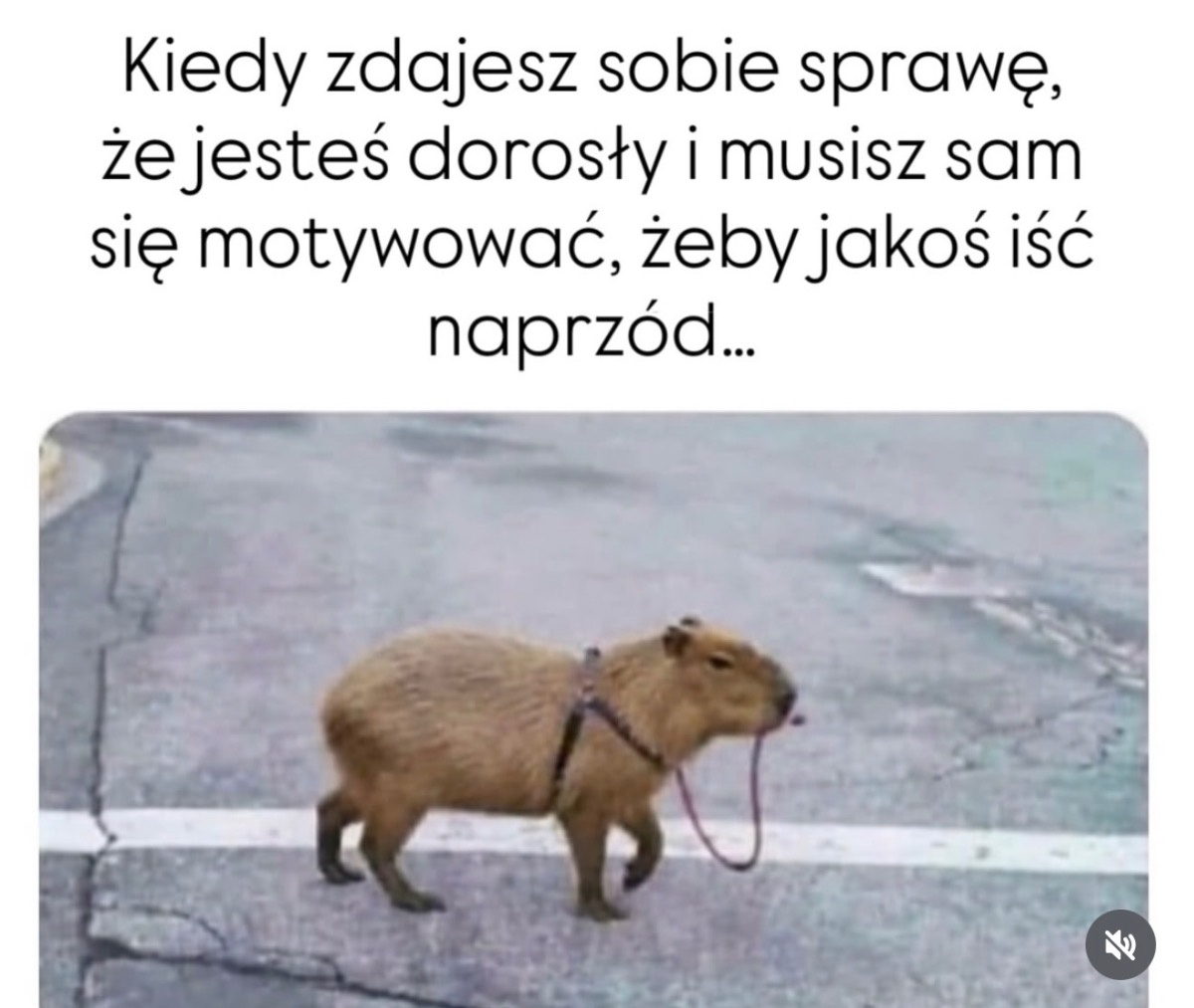 1de12f55-7906-40a3-93a8-3f81017369f4