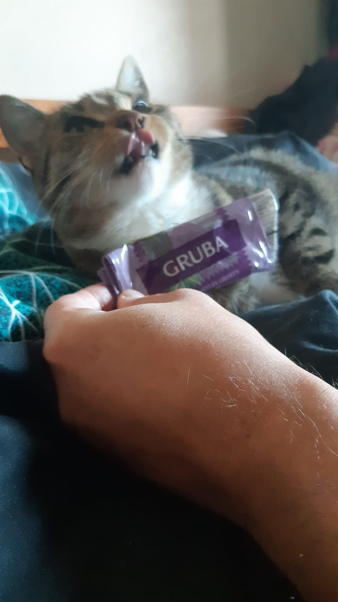 27a1e977-583c-4a64-be25-1302ee35b548