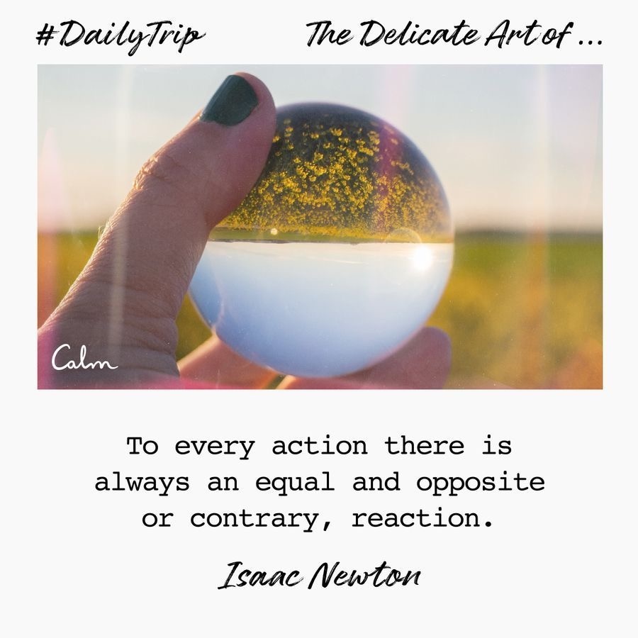 c6b2c8ee-1a64-43de-8fbc-83ff51ef49a9