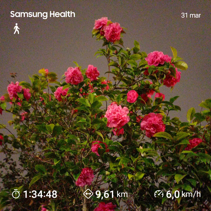 5c830d48-a45c-40df-a1cb-5c46cd908c40