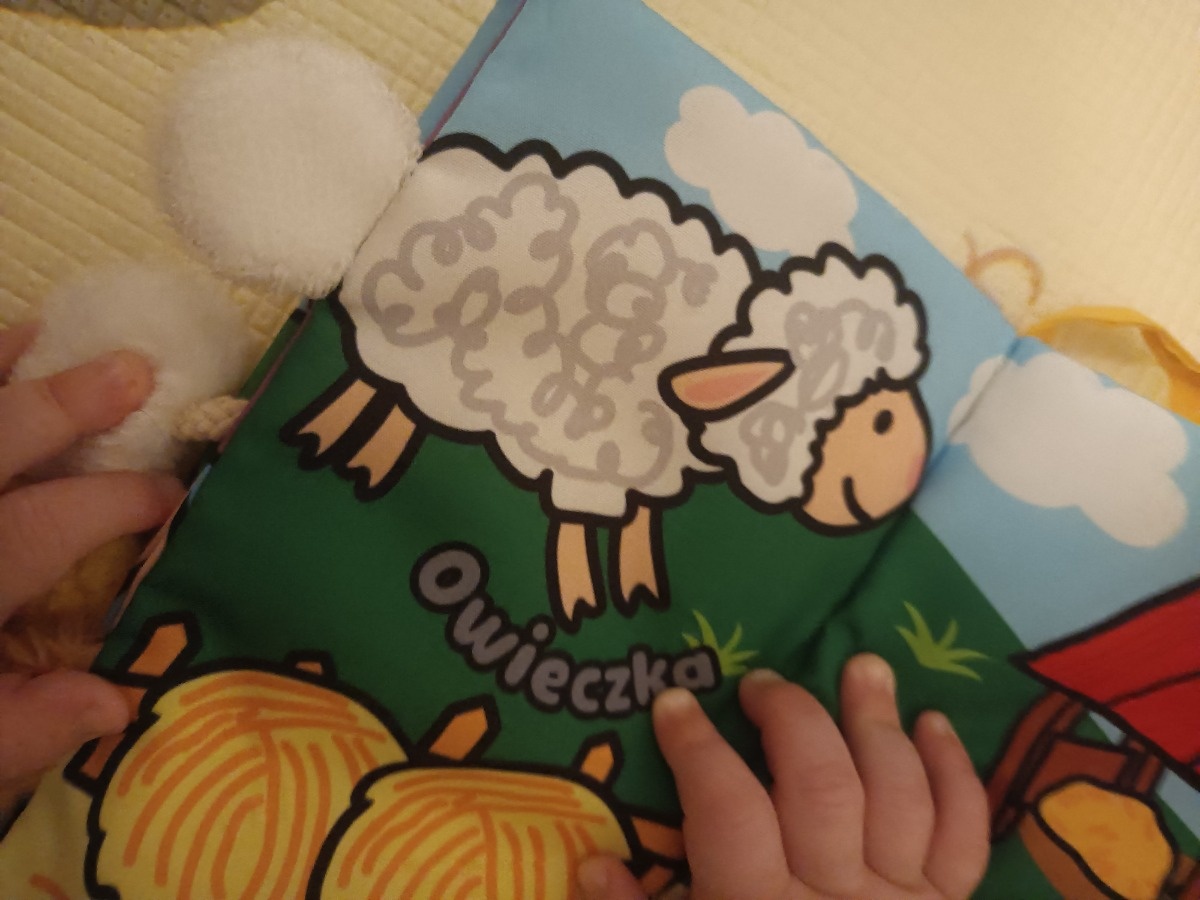 83e609f2-d71a-48cc-86e7-65d66c5e70a1