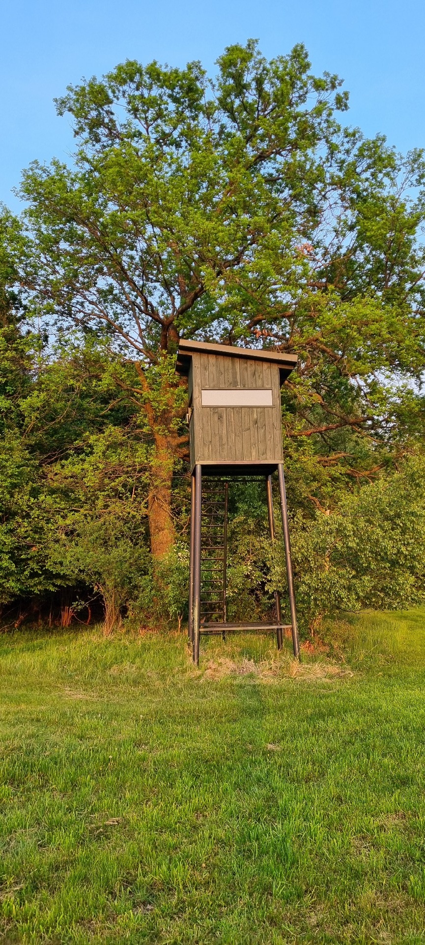 c0784bad-3b3a-4aee-87e3-67a333beca3c