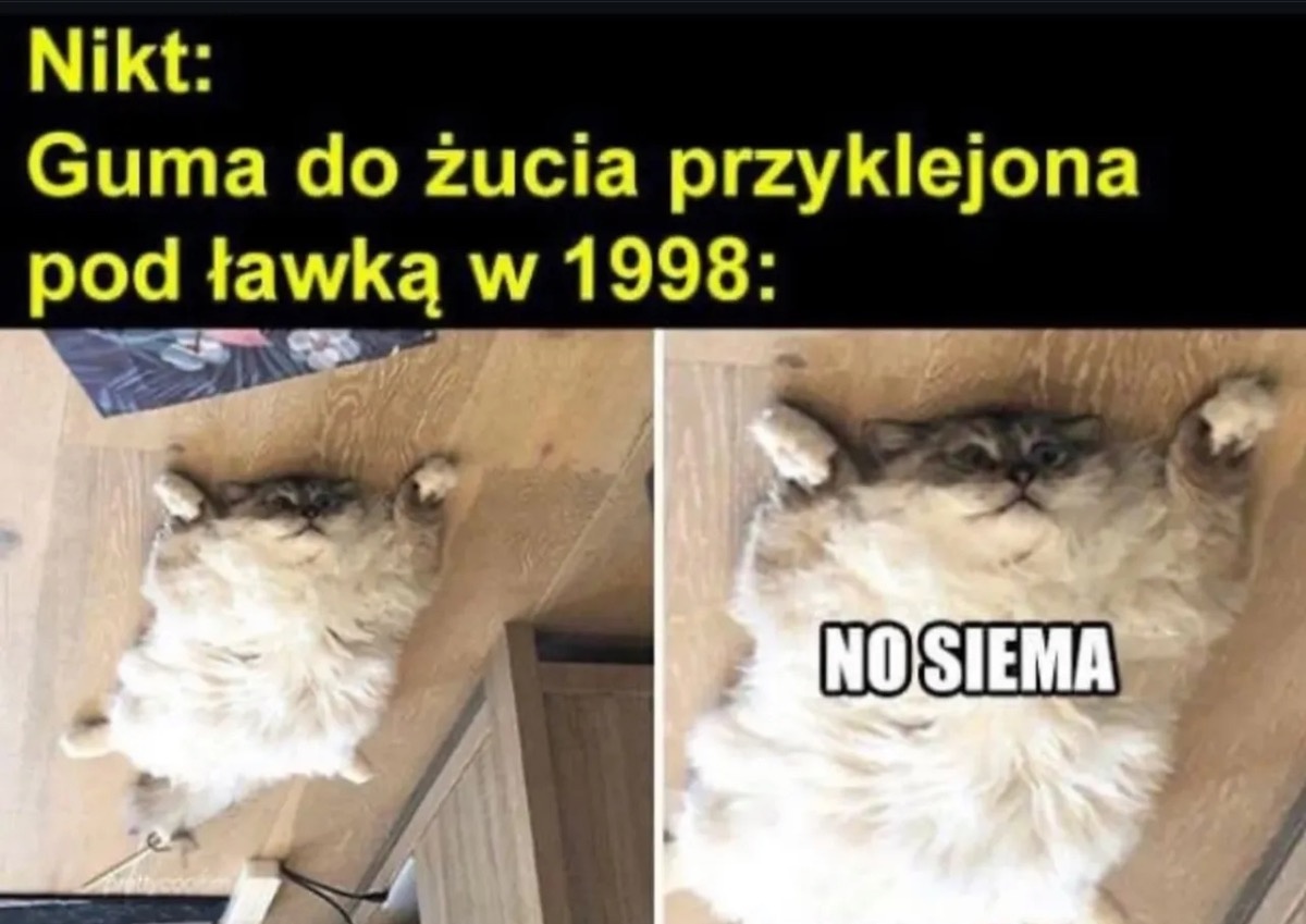 3c9f7d5b-e58e-4ded-8077-7b069783d266