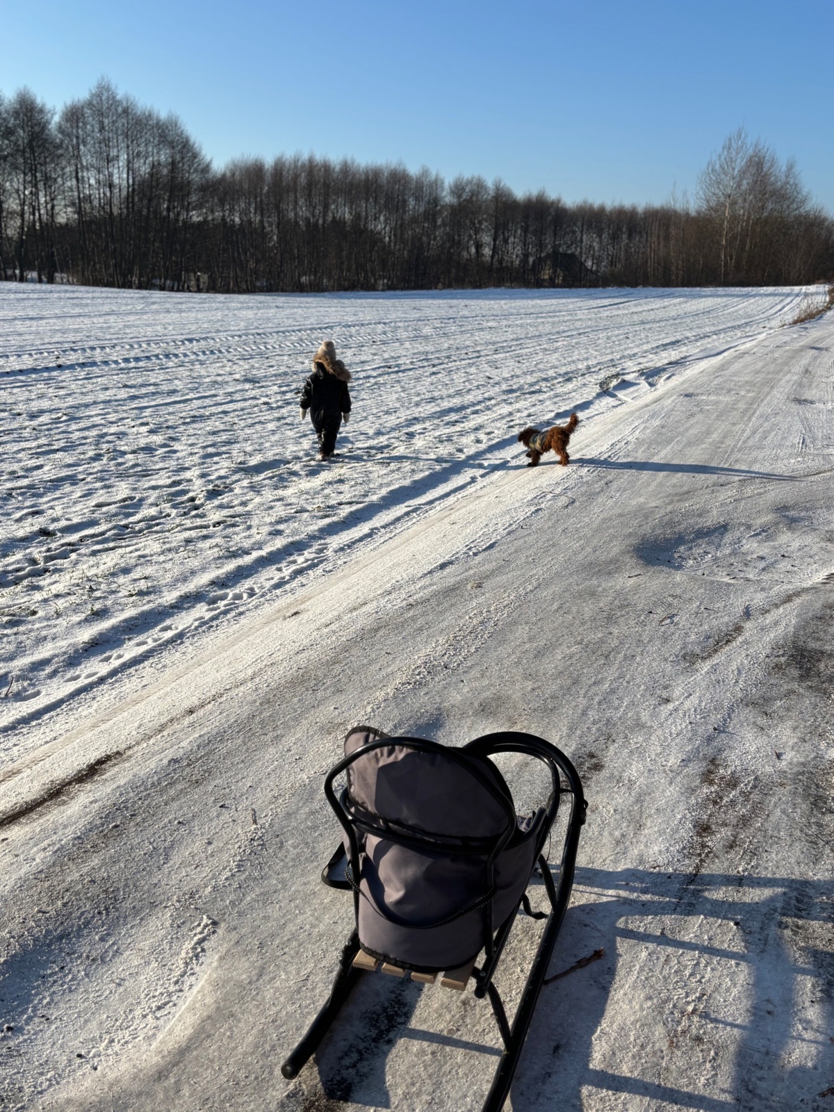 c77c266c-e8b2-41fa-9641-558180d7ea11