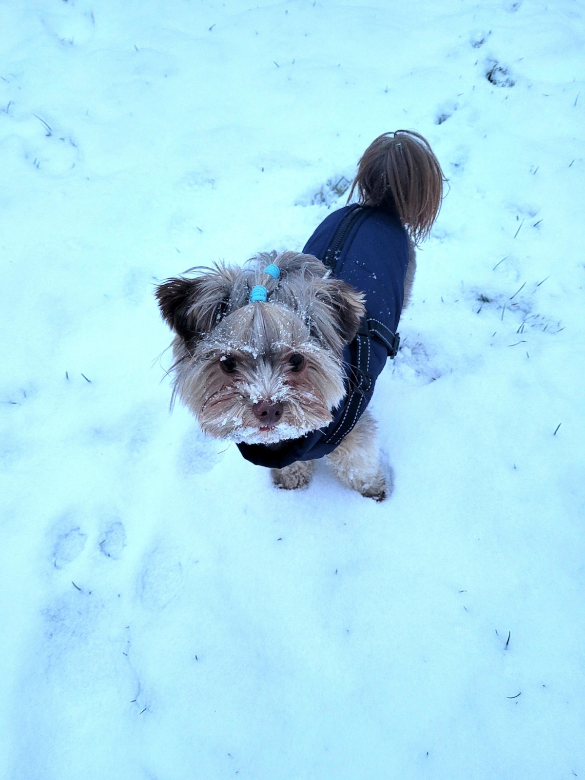 351b99fb-29e9-43d9-bdcd-d39ca47e3b1d