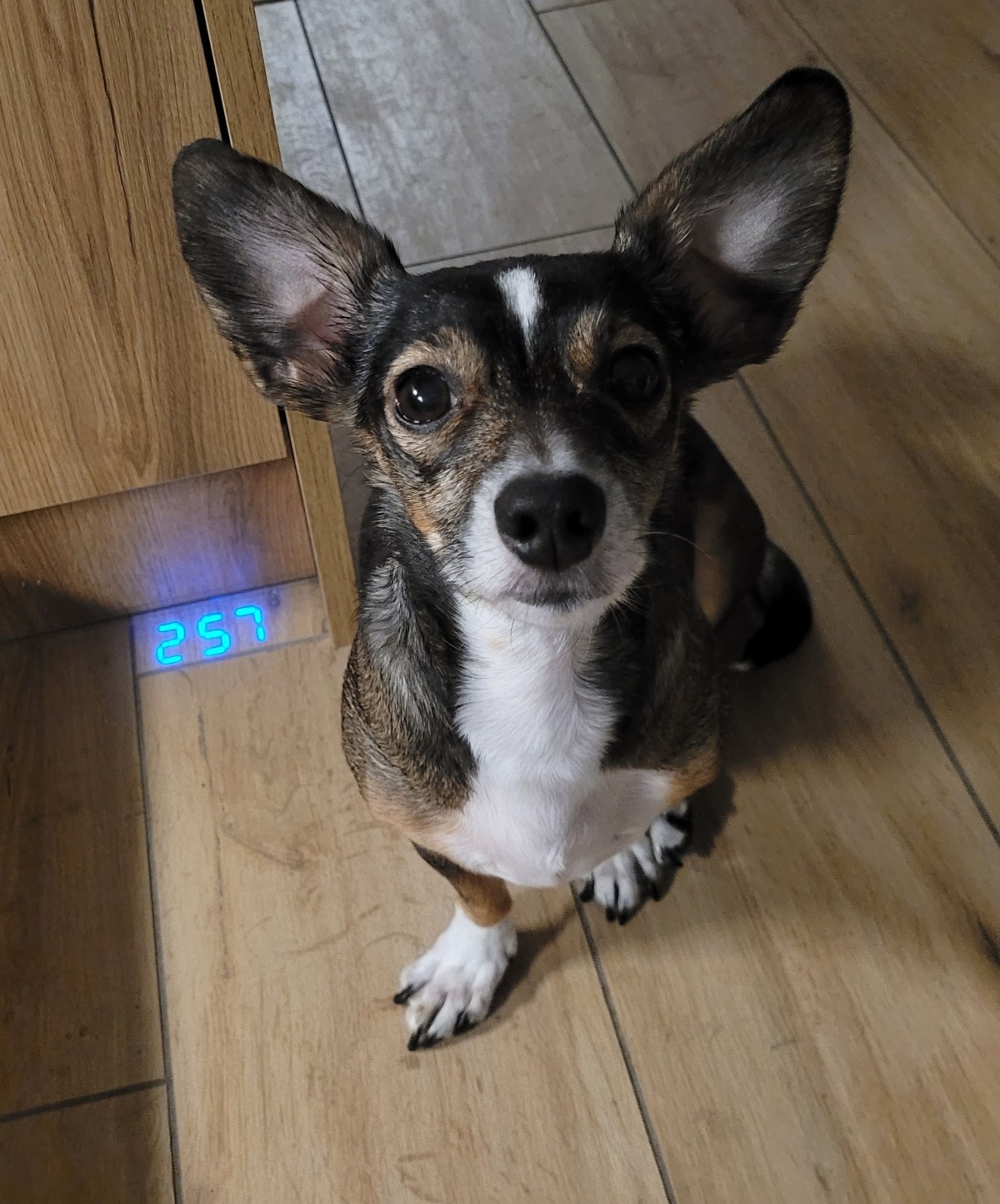 9569bd8d-bd18-4b16-b0da-90bc0837a695