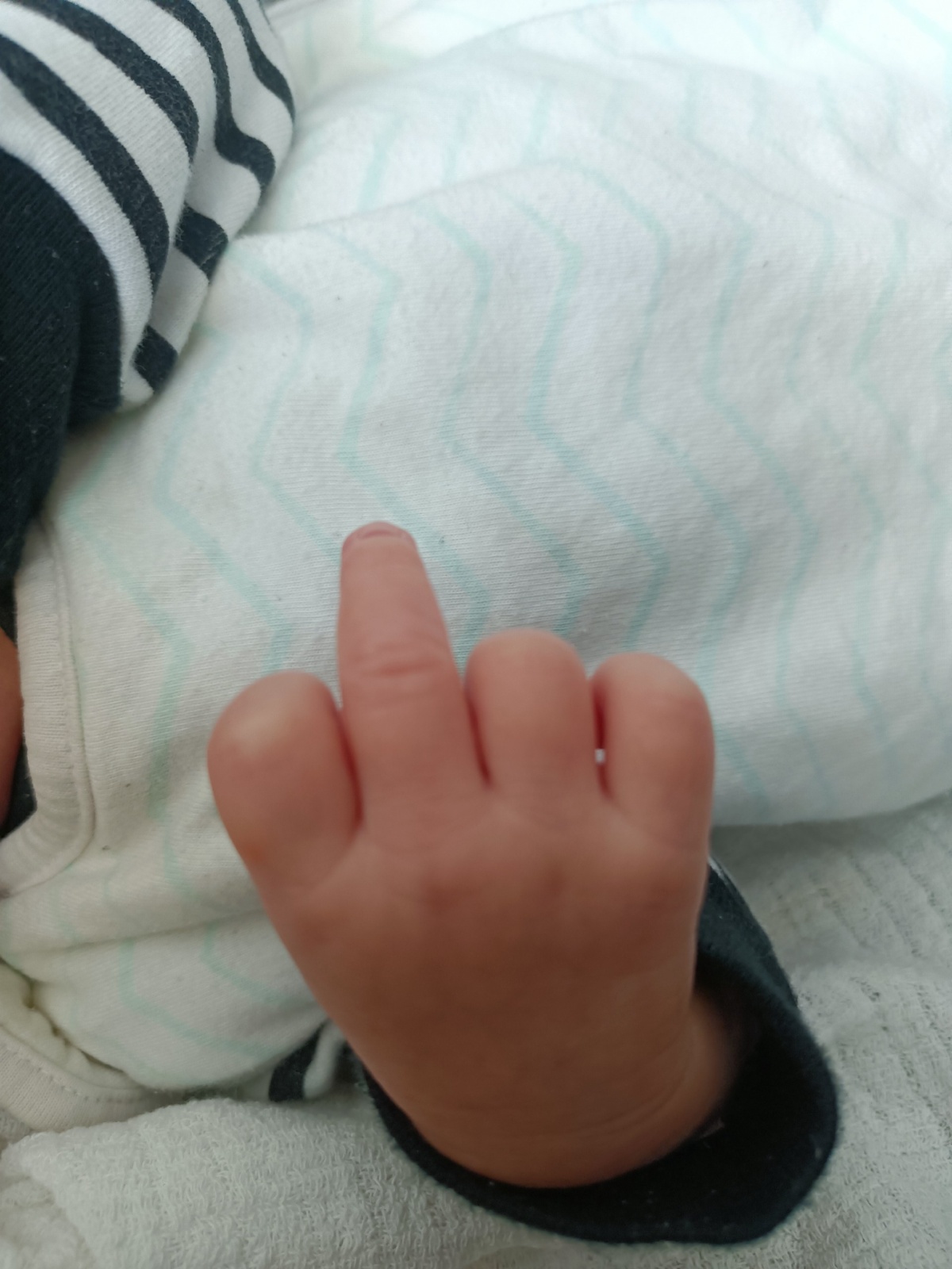 f596ed14-ab58-4b3e-9856-fd40cf762636