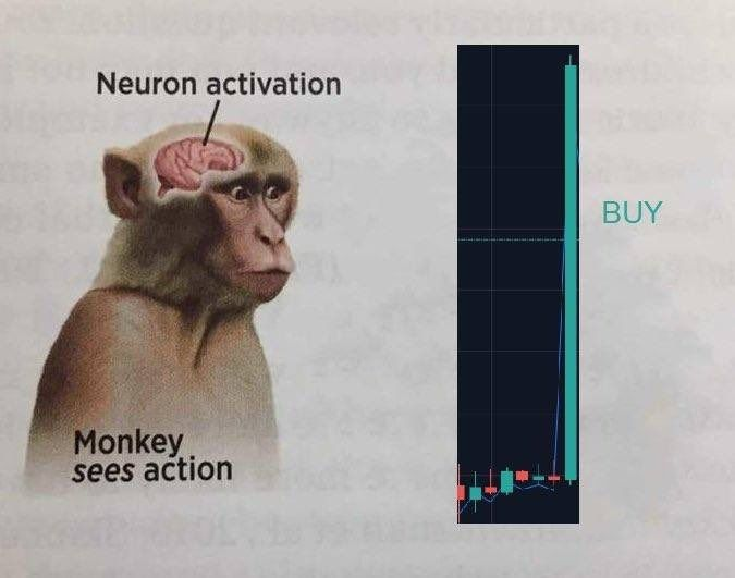 fb637cc0-d8e8-4985-a0d8-e86af1f5e093