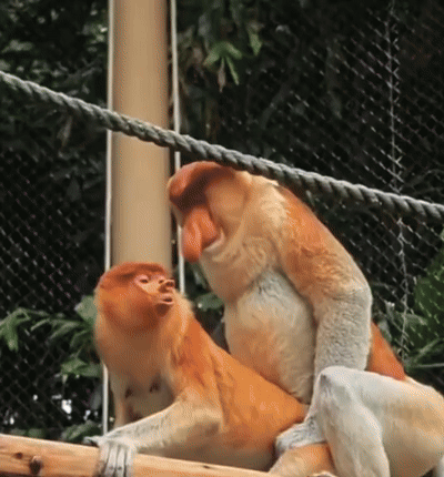 17def39e-e1ae-4c18-9de8-590af5f3dc3a