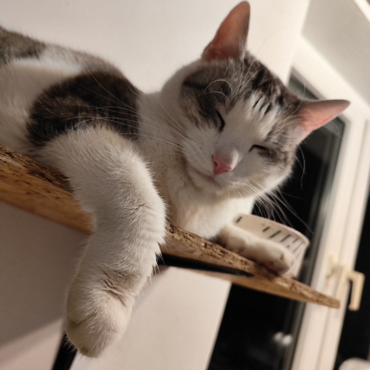 ba34ede7-6973-4705-9616-99a933fbb268