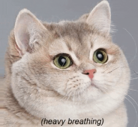 b1cfa456-52c2-4f8c-a85d-9cb2f4af3958