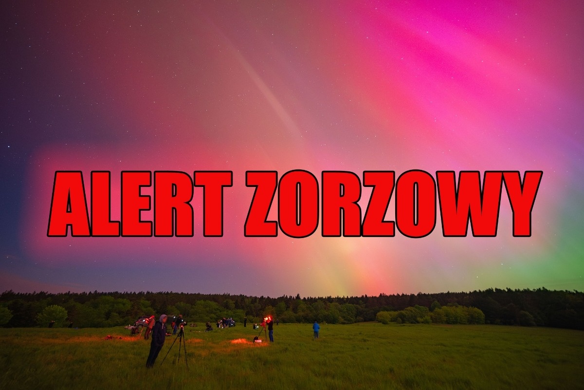 be3803ee-f93c-4e22-b457-69edee666e99