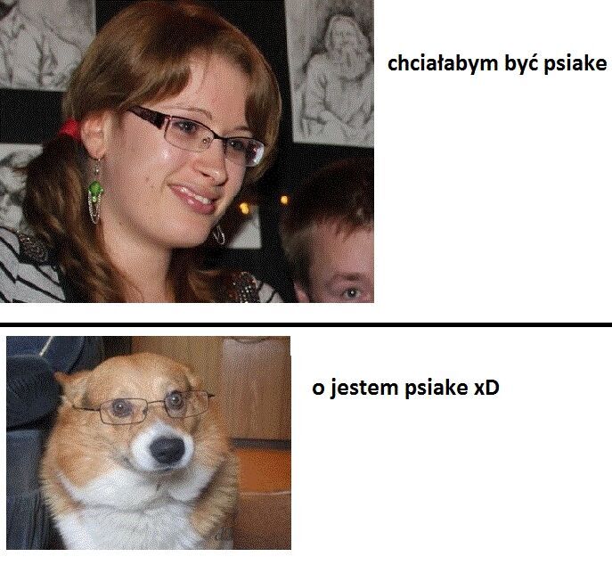 a9c04c91-9bbd-4ffd-9353-b657c6fb07f3