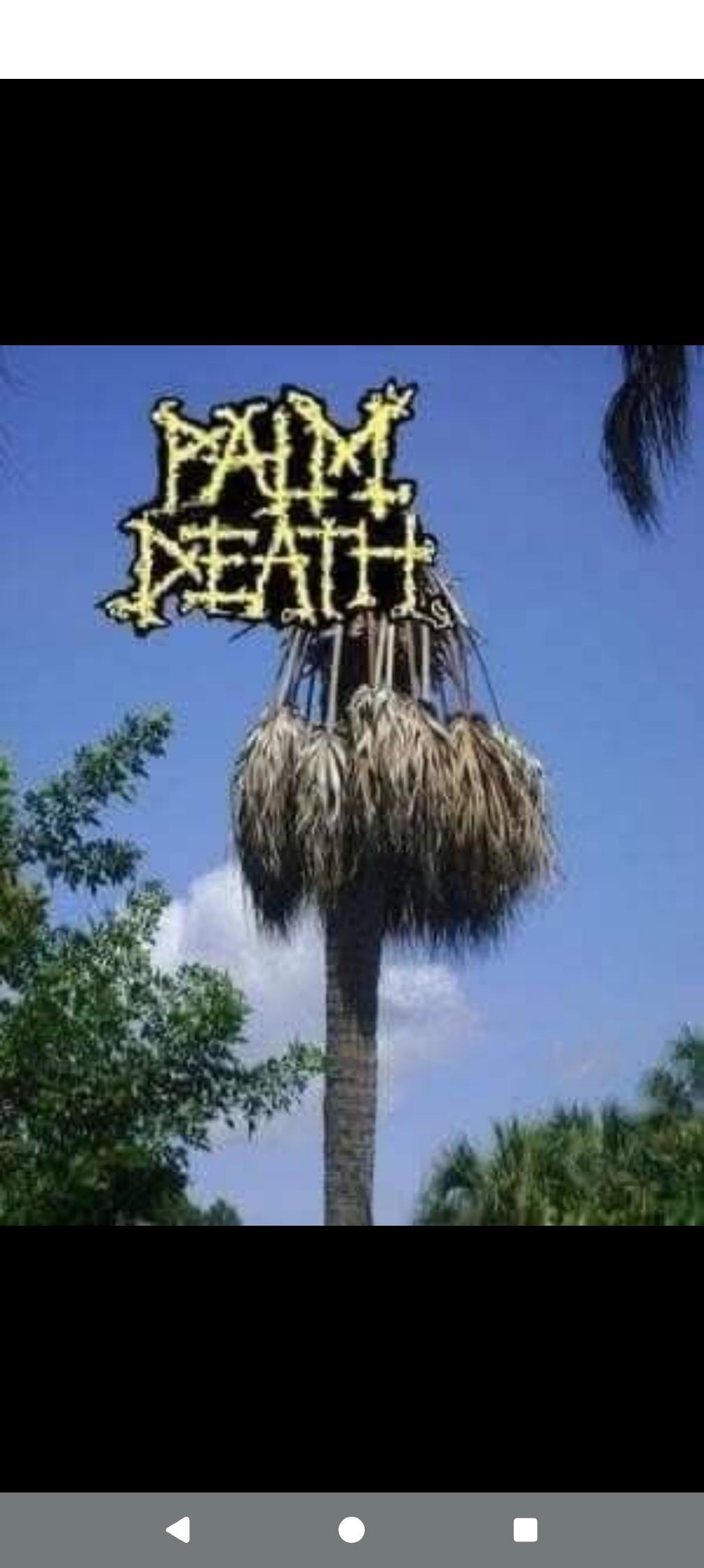 866669a6-be12-49fc-a2a7-8be6e637f4c5