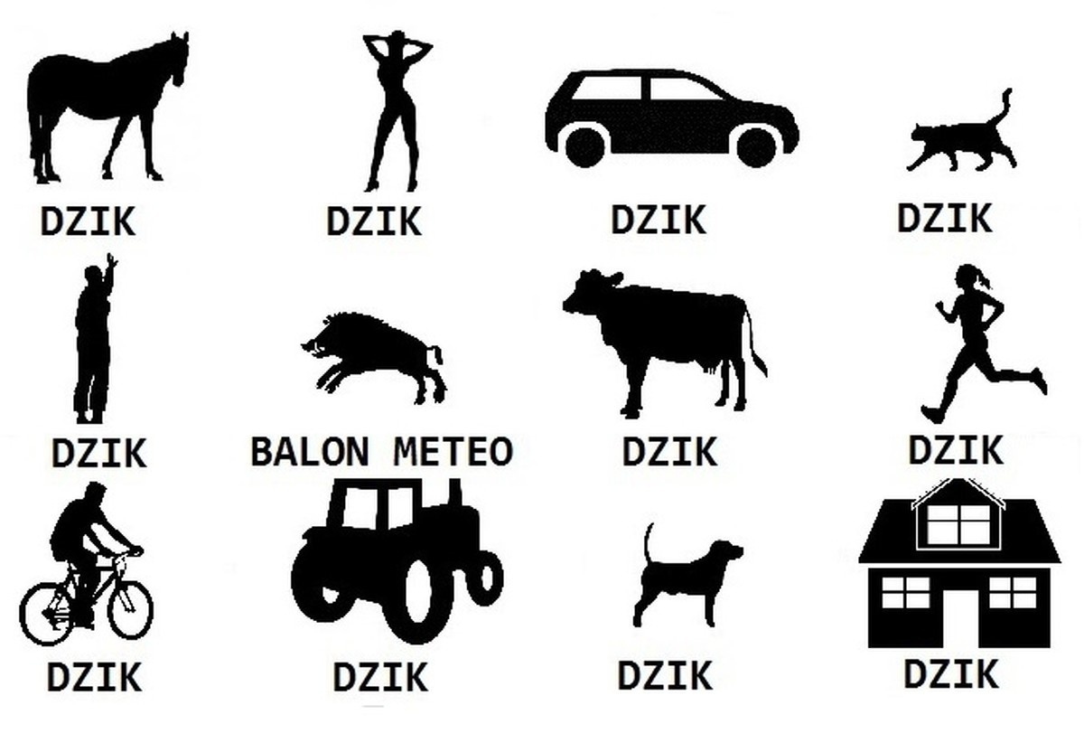 f1eb8957-db60-4738-9c0d-160d6f735a06