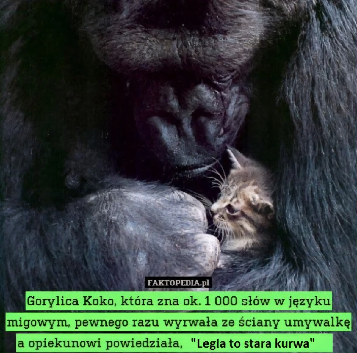 d7372654-e178-4e4e-a26c-cde92fba4048