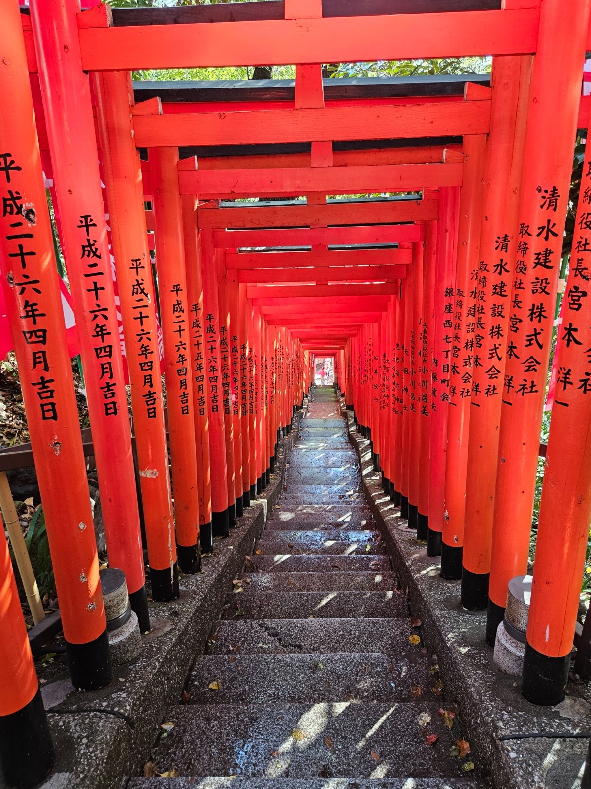 966ee6cf-d3e6-4fb9-a4e6-d9a81b0712aa