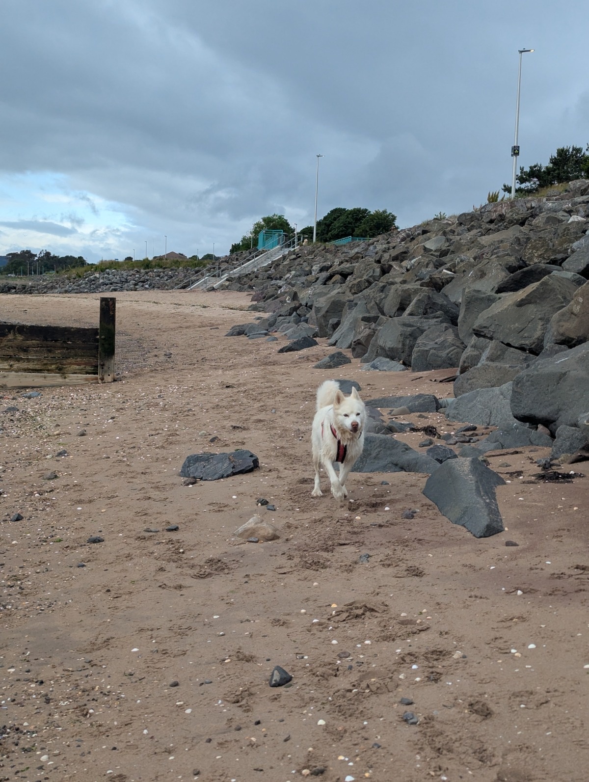 dce1d915-2f50-4199-be9a-d0f24f4f9d84