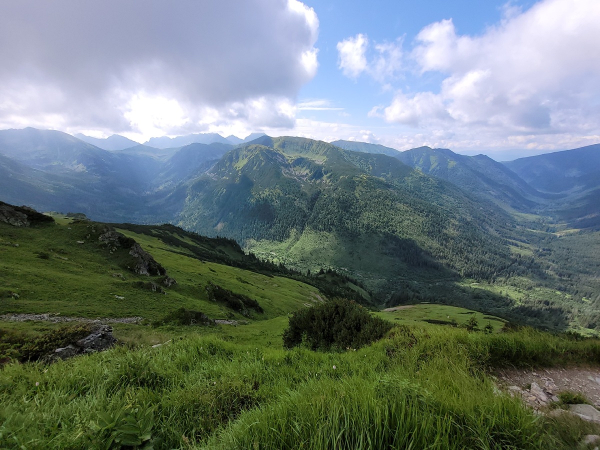 9d565bc8-326a-44a4-b585-1a950466d7c7