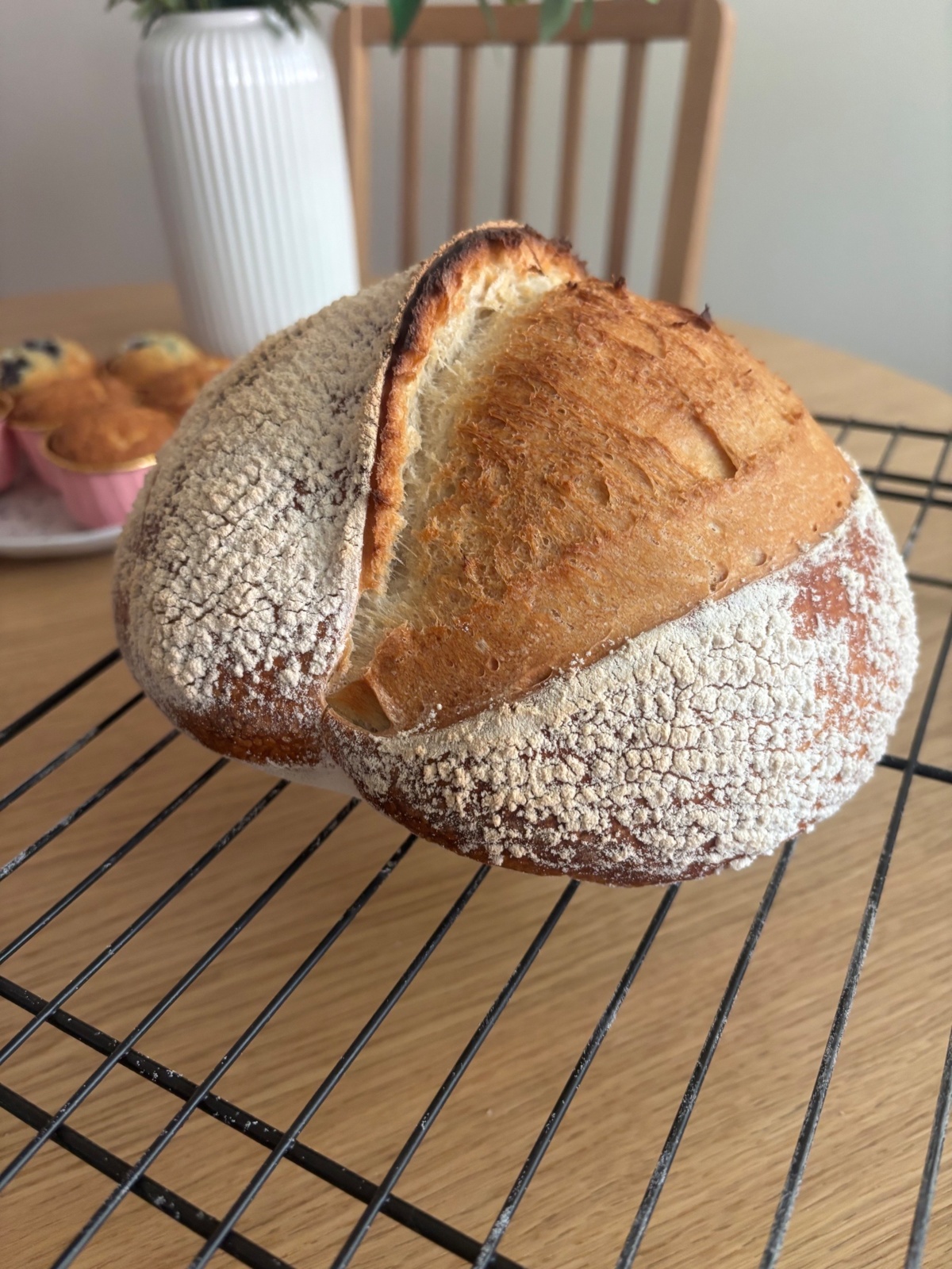 93e959b8-d989-4c42-af6e-a50b45d4d340