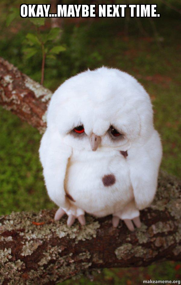 85feb9fc-1568-4604-aae8-bf4f5f15c35d