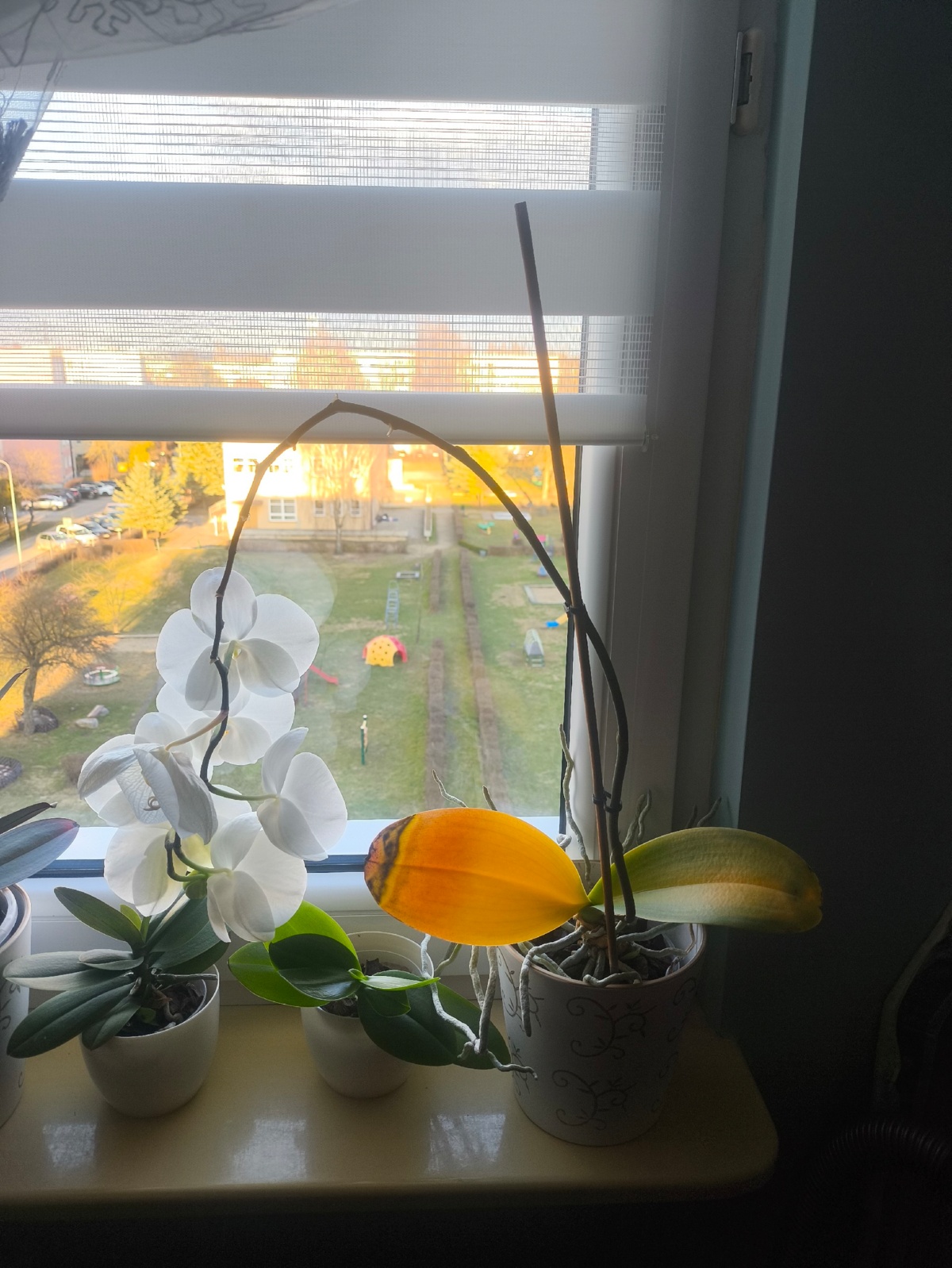 71a8b1a4-6db6-4274-8a26-660e3aa944f3