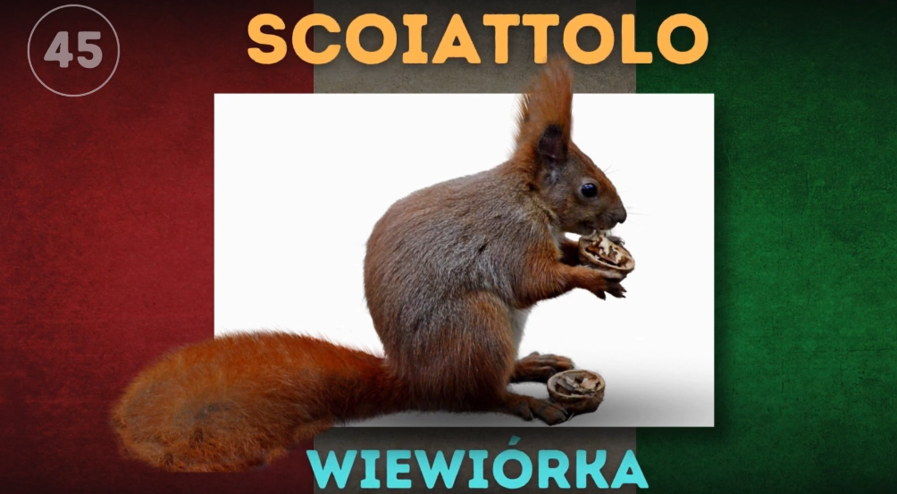 e034d8ca-4137-4eb2-8952-d559064bbae6