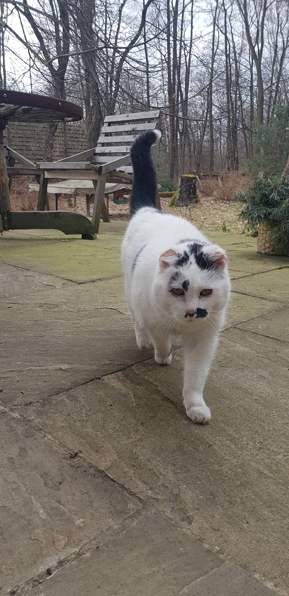 fb3d8a66-3b36-4d34-befe-33a5009e3638