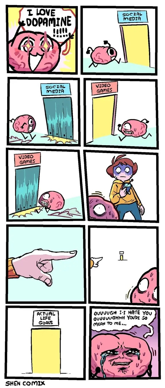 48209515-7450-466d-a982-5fc44da08f9f