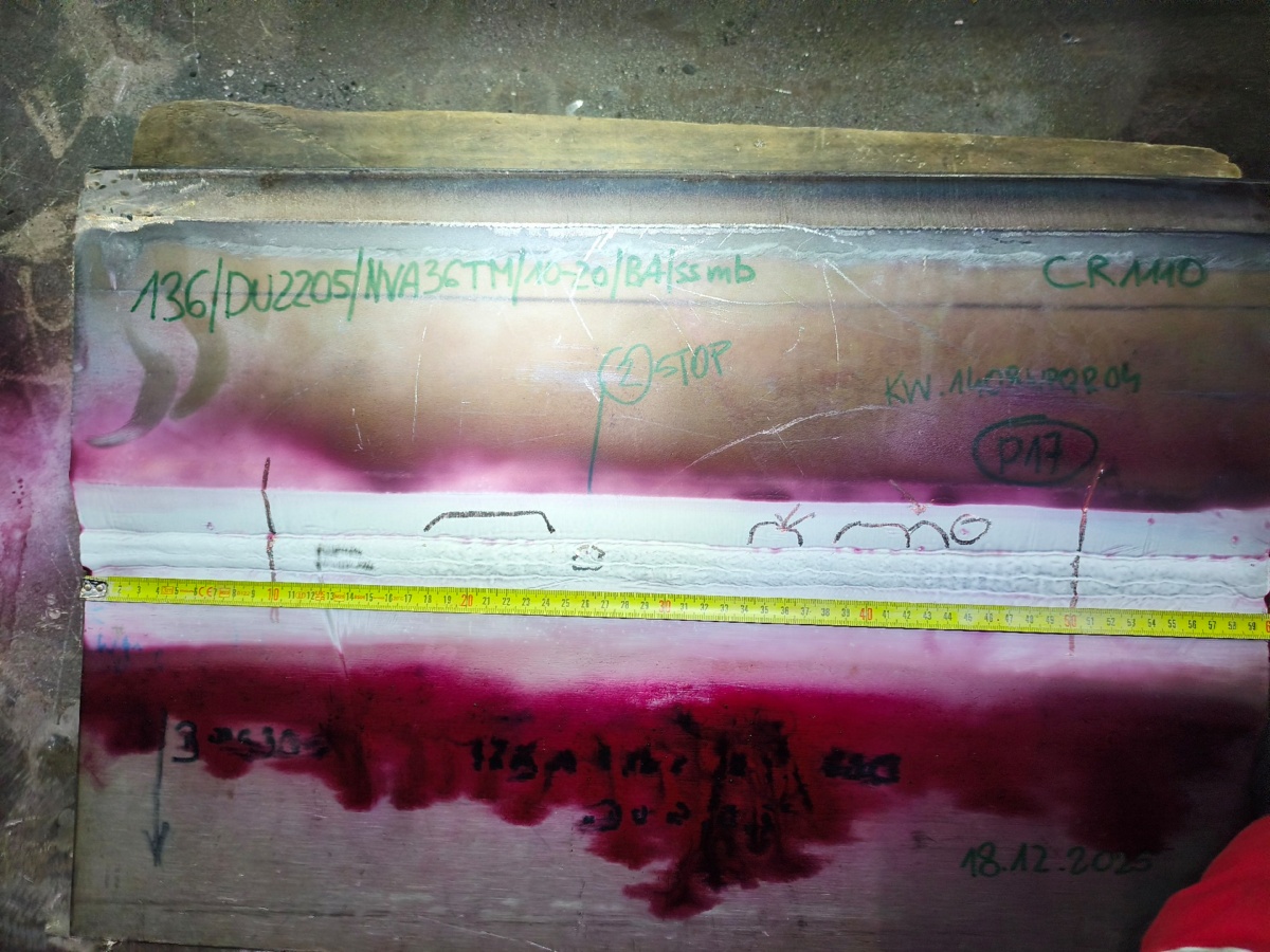 b10a7daa-62b2-4b91-8d92-a043718aa56e