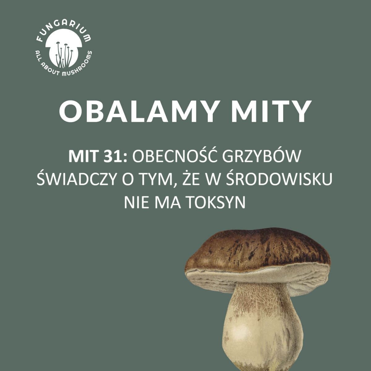 17eac433-9e95-490e-987d-9a4c5ee0bf3c