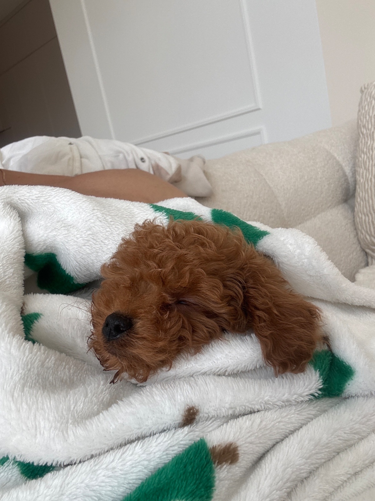 cfb08820-f744-44b1-92e5-647cc4960828