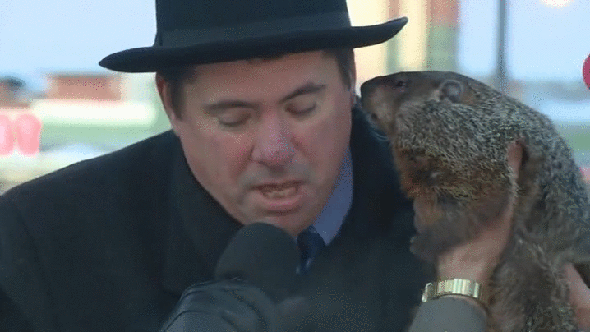 535ad3ed-7627-4ae0-942d-04353aeeebf2