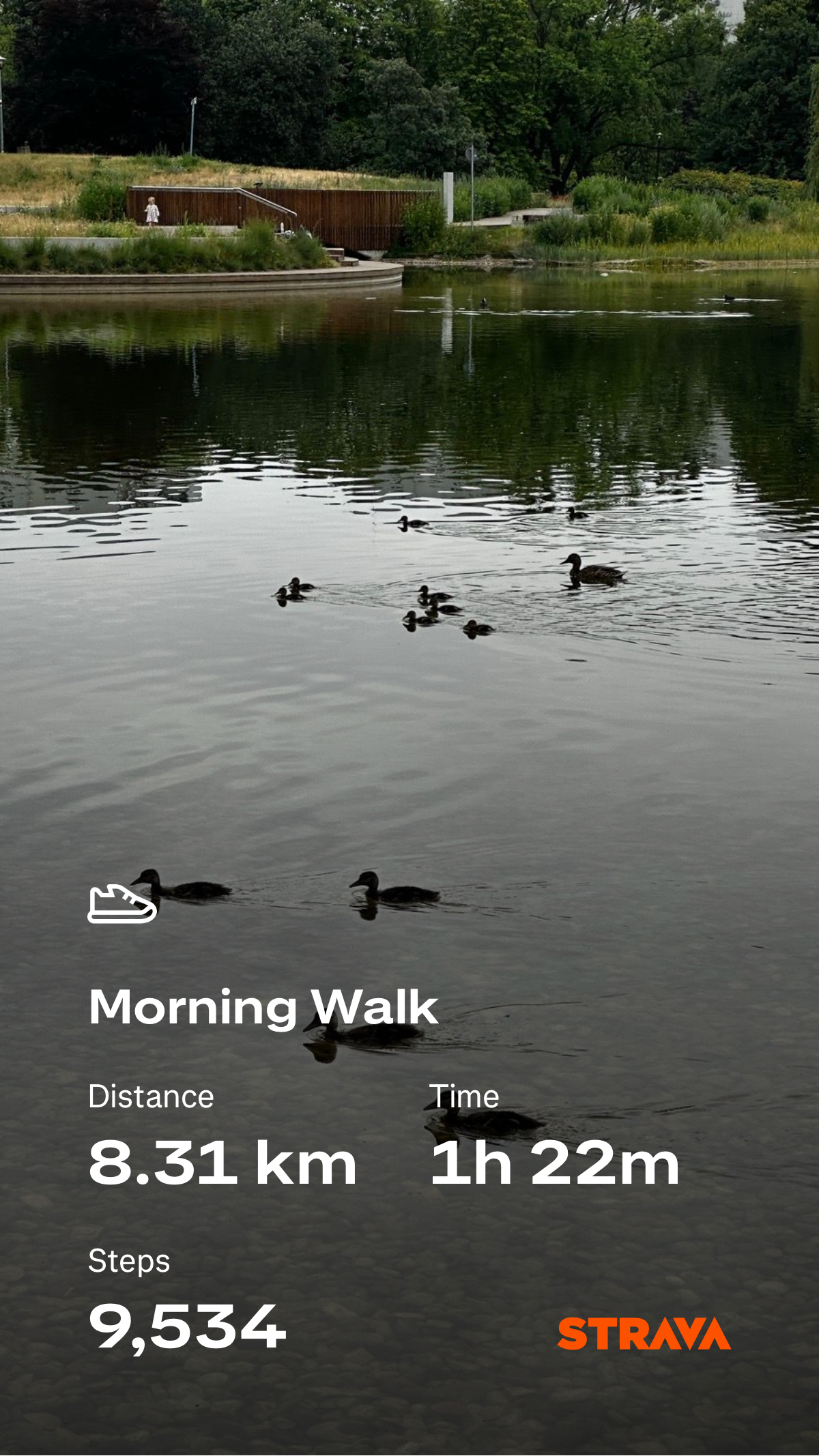 5697622c-9447-4ba6-9468-c42eaba9bc10