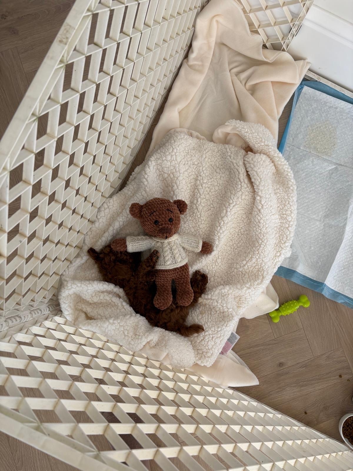 03cae894-866d-4423-9d5f-7bd8e53faf44