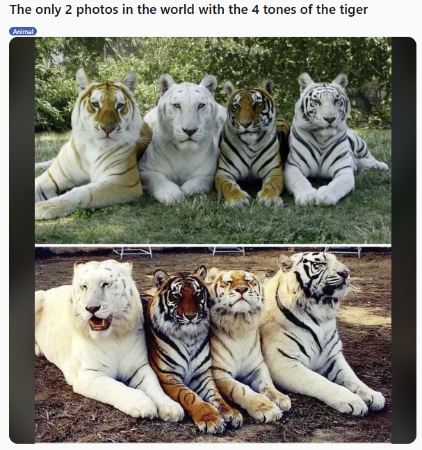 36e3f07f-acf6-45b1-b734-1ddd52aae68c