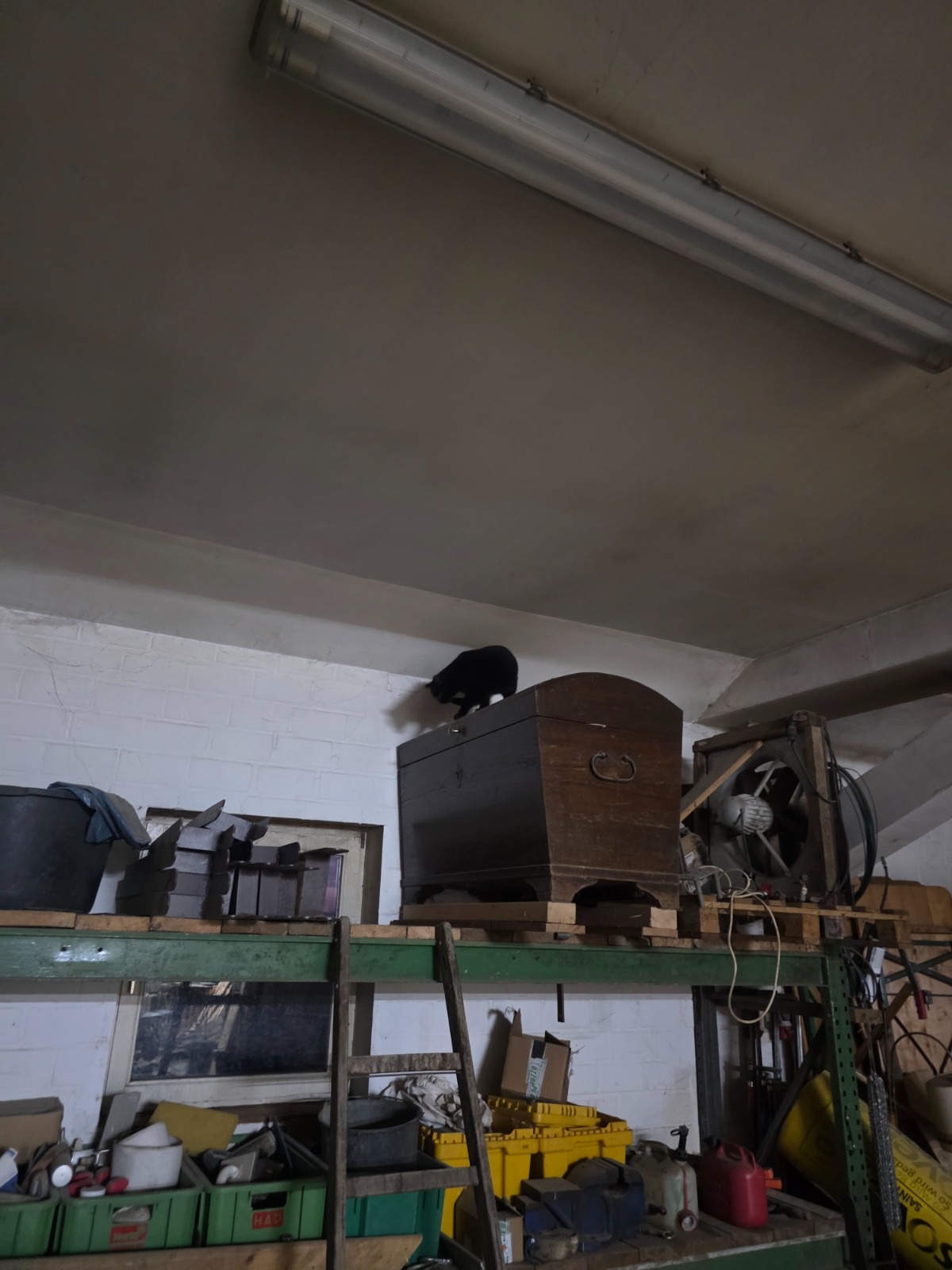 0378fac4-af38-4692-ad4c-e26a39a12562