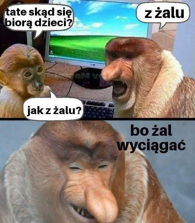 c35fdc0b-41fc-4b2a-be95-b9883384fac0