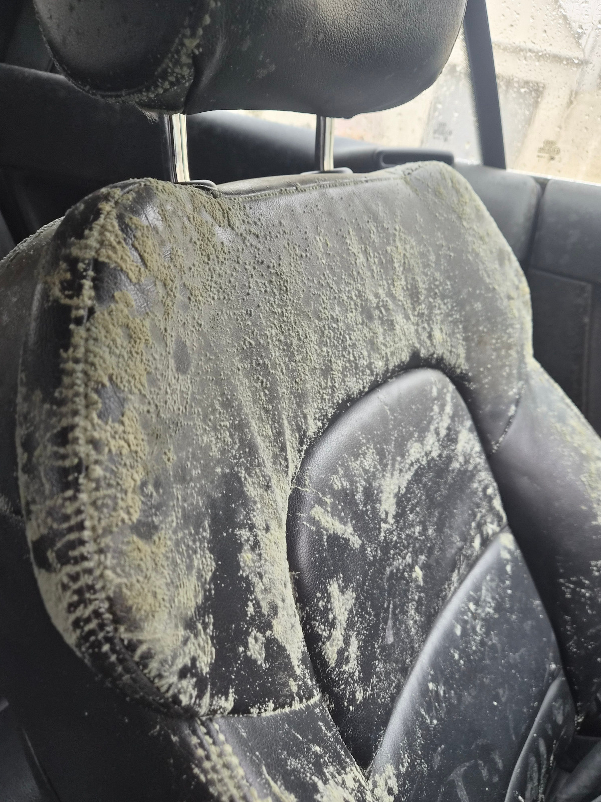 0495180e-72fb-4f9c-9374-c64273f338eb