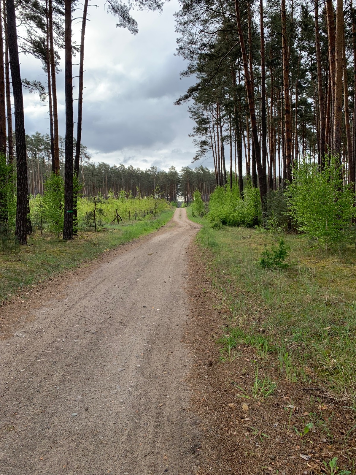 5a05733b-1562-40bf-a42b-688b667c3bf6